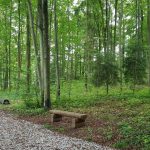 Friedleite Hundshaupten - Begräbniswald im September